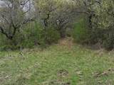 TBD Co Rd 369 - Photo 10