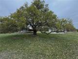 TBD Co Rd 369 - Photo 4