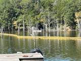6435 Fm 17 Lots 68-77 - Photo 33