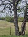 TBD Snap Road - Photo 13