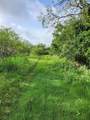 1202 Park Street - Photo 4