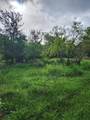 1202 Park Street - Photo 8