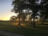 0 Hal Sutton Drive - Photo 2