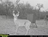 TBD 213.5 acs Fcr 984 - Photo 16