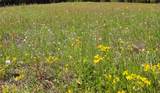 TBD Fm 317 - Photo 22