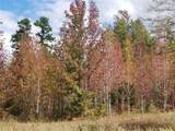 TBD Fm 317 - Photo 5