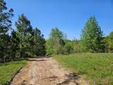 TBD Fm 317 - Photo 7