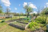 112 Waterfall Court - Photo 35