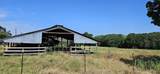1651 Desvoignes Road - Photo 6