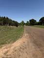 TBD Lincoln Springs Rd - Photo 11