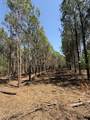TBD Lincoln Springs Rd - Photo 12