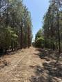 TBD Lincoln Springs Rd - Photo 2