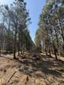 TBD Lincoln Springs Rd - Photo 4