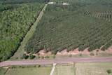 TBD Lincoln Springs Rd - Photo 5