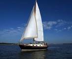 TBD 00 Fm 1171 - Photo 7