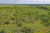54.53 Acres Hwy 199 Road - Photo 17