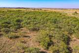 54.53 Acres Hwy 199 Road - Photo 3