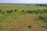 36.33 Acres Ballard Road - Photo 9