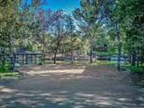 1336 Lakeside Drive - Photo 30