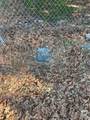 0000 Sweetgum Drive - Photo 12