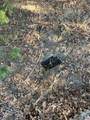 0000 Sweetgum Drive - Photo 13