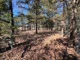 0000 Sweetgum Drive - Photo 9