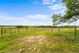 TBD Co Rd 1107 - Photo 4