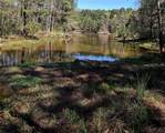 435 Fm 2064 - Photo 13
