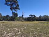 435 Fm 2064 - Photo 2
