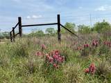 7565 Hwy 377 - Photo 2
