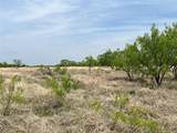 7565 Hwy 377 - Photo 4