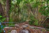 8224 Forest Ridge Drive - Photo 33