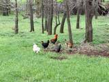 301 2nd Street - Photo 2