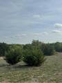 1016 Spring Ranch Drive - Photo 12
