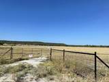 Lot 11 Fm 1690 - Photo 4