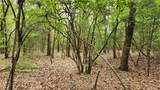 TBD 6.16 acres Fm 115 - Photo 10