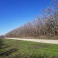 TBD Fm 697 - Photo 6