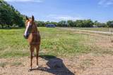 278 County Road 2241 - Photo 11