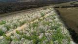 TBD I-45 - Photo 4