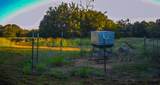 3601 County Road 188 - Photo 35