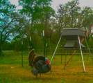 3601 County Road 188 - Photo 36