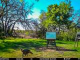 3601 County Road 188 - Photo 37