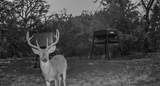 3601 County Road 188 - Photo 39