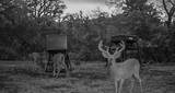 3601 County Road 188 - Photo 40