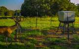3601 County Road 188 - Photo 6