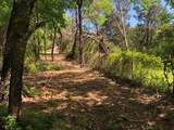 1408 Robyn Road - Photo 4