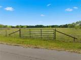 TBD George Wachel Road - Photo 3