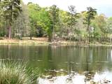 Lot 64 White Oak Creek Ranch - Photo 6