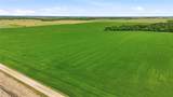 200+ Acres Davis Road - Photo 10