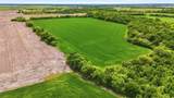200+ Acres Davis Road - Photo 13